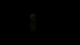 Shell is Horny as Fuck! new Content