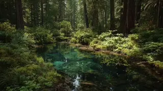 Pine Forest porn video – Audio Roleplay: Stalker Ravages you in the Forest [M4F] [audio for Women]
