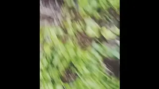 Wala Na Talagang Piniling Lugar Pare Pag Inabutan Ng Libog.