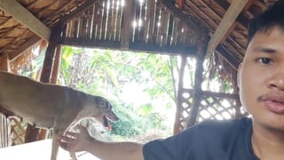 KANTUTAN Vlog Kami Muna Ni Brownie habang Wala Tao SA Kubo