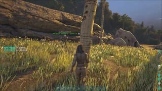 Girl Hits Big Tree