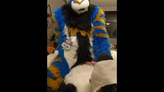 Good Kitty Fucks the Cum out of the Bad Dog then Cums Hands Free - Pornhub Gay