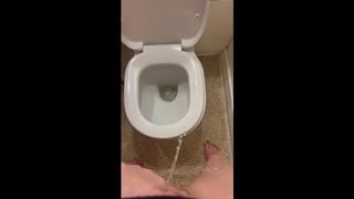 Pissing all over the Toilet and Accidentally Missing