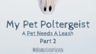 Virgin Ghost needs your help to Move on | my Pet Poltergeist Pt 2: a Pet needs a Leash