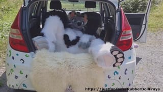Fluffy Car with Fun