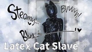 [latex] Latex Slave Cat Vibrator Selfie Masturbation💕 - Pornhub Gay