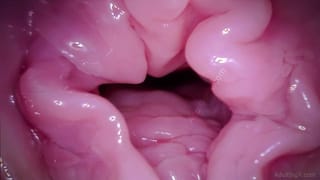 Pussy Coaster - Camera in Vagina