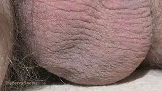 Ball Crawl 2 - Extreme Close Views of Soft Pink Flesh in 4k60fps