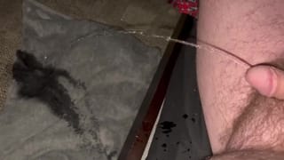 Peeing off the Bed