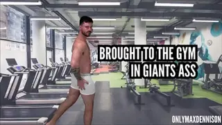 Brought to the Gym and Giant Ass - Pornhub Gay