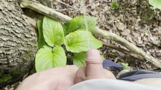 Cute Tiny Dick Pissing in the Woods [amateur HD POV] - Pornhub Gay