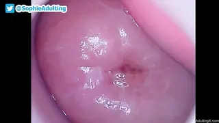 Rub your Penis on my Pink Love Donut Cervix