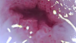 Cervix Throbbing, Dilated, Heartbeat, Extreme Close-up, Stunning, ASMR