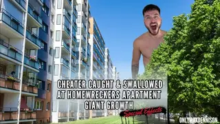CHEATER CAUGHT & SWALLOWED AT HOMEWRECKERS APARTMENT GIANT GROWTH - Special Effects - Pornhub Gay