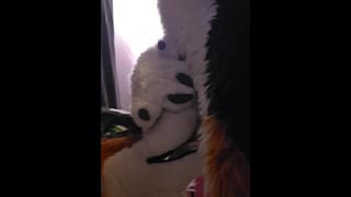 Pawjobs and Blowjobs