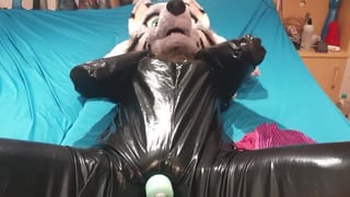 Bitchsuit Teasing