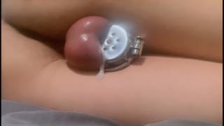 Femboy Shows off Ass and Chastity, then Cums Handsfree - Pornhub Gay